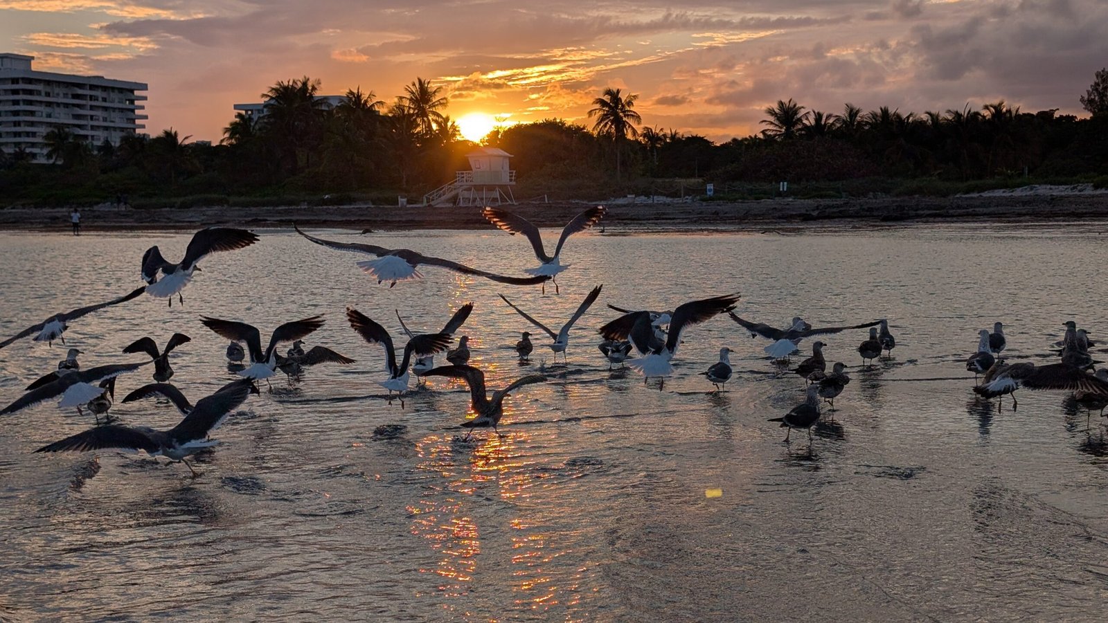 fancy-gallery-tabs-image